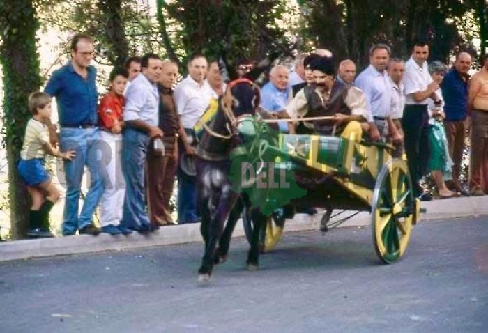 Luigi Pasquarelli 