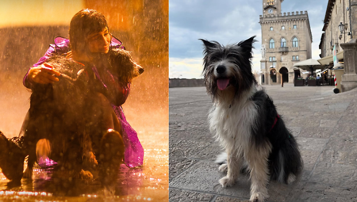 Blanca, di che razza è Cane 3? Arriva la risposta della padrona di Ronda: "Sento una grossa responsabilità"