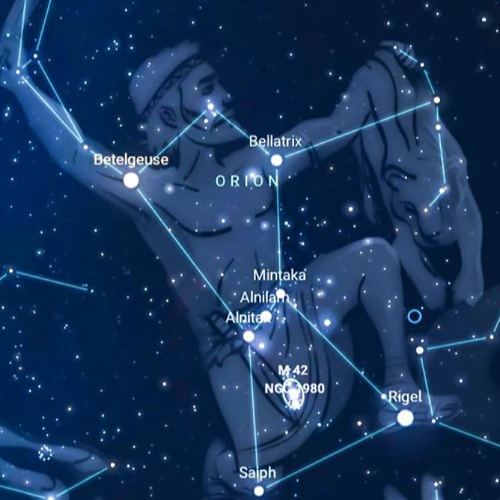 Stelle cadenti nella notte del 22 ottobre. Oroscopo, il passaggio da Bilancia a Scorpione