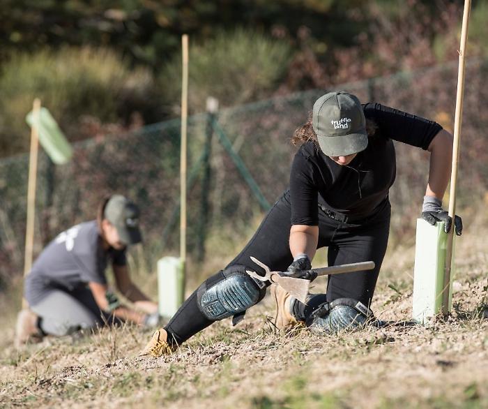 L’AGRICOLTURA DEL FUTURO, DAL SEME ALL’IMPRESA 