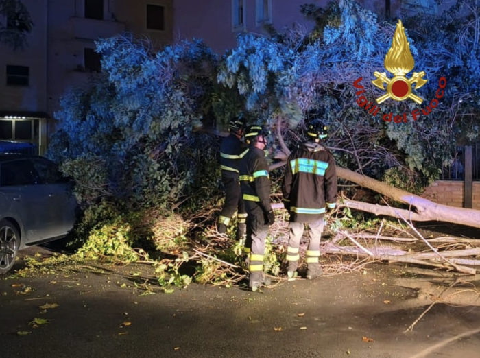 Maltempo a Terni, albero crolla in via Di Vittorio e danneggia un’auto parcheggiata