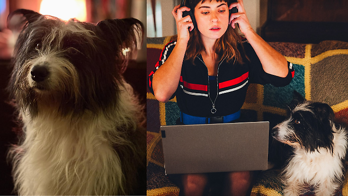 Blanca, la vera vita di Cane 3: "Si chiama Ronda, è un Border Collie e da piccola era una peste"