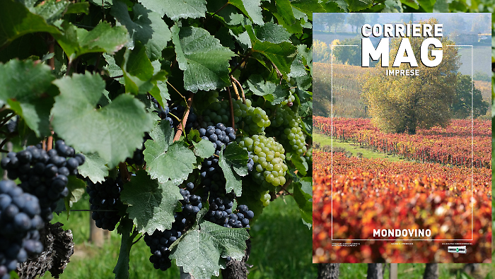 Torna il Corriere Mag dedicato al mondo del vino: sfoglia l'inserto 