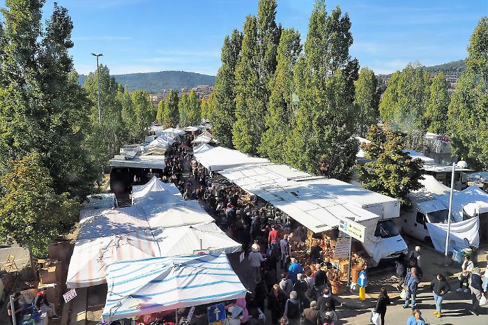 Countdown per la Fiera dei morti: oltre 500 stand a Pian di Massiano. Inaugurazione il 1° novembre