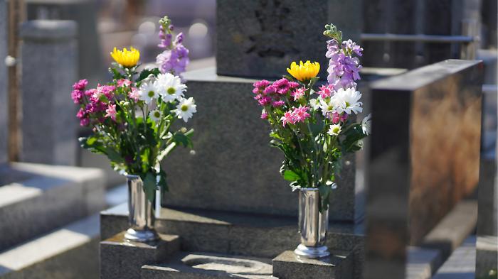 Ognissanti, i prezzi dei fiori dall'estero schizzano in alto: aumento sino all'80% per le orchidee di importazione