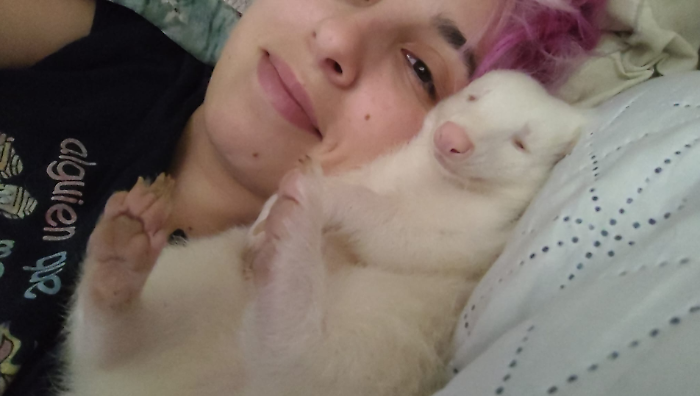 Una topo-sitter con 21 animali in casa. Impiegata delle Poste ha trasformato la sua abitazione in un’arca di Noè: "Sfida impegnativa"