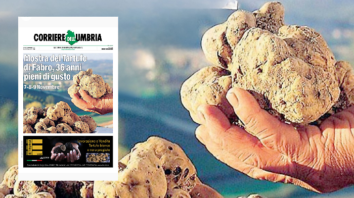 Mostra del Tartufo di Fabro, vetrina d’eccellenza per le filiere locali e il patrimonio culturale. Sfoglia l'inserto