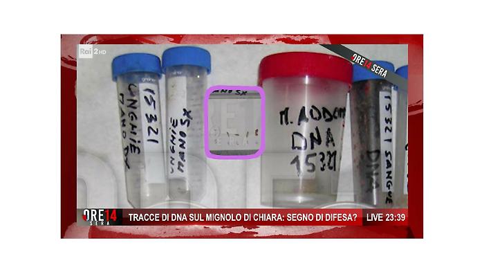 Delitto di Garlasco, il dna "da difesa" sul mignolo di Chiara Poggi e gli errori negli esami. Lo scoop di Ore 14 Sera: "E' la prova regina?"