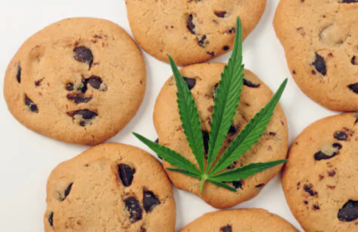 Biscotti alla marijuana: arrestato dopo che il nipotino ne mangia uno e si sente male