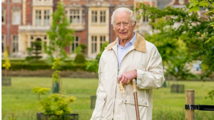 Re Carlo, il ritratto nell'era social.  La foto che ha condiviso la famiglia reale per il suo 77esimo compleanno 