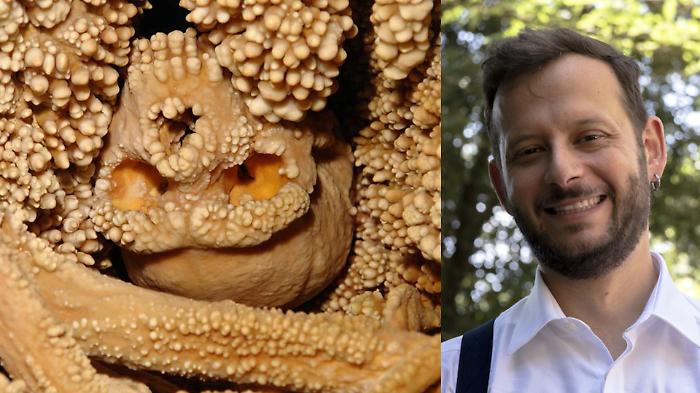 Scoperte perugine sull'uomo di Neanderthal: nuovo studio rivela come respirava