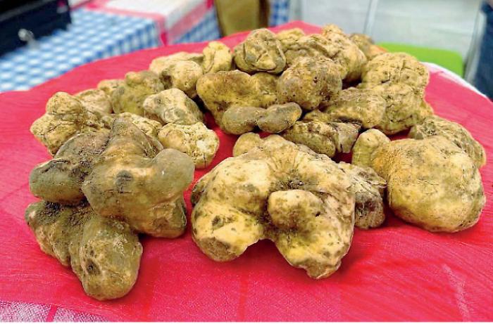 La Regione istituisce il Marchio Umbria per i prodotti tipici