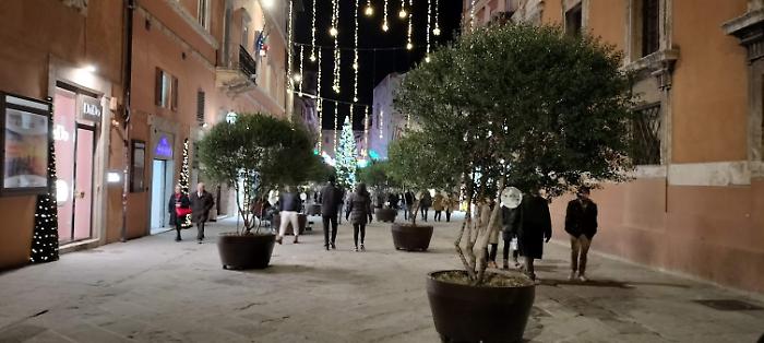 Il bosco di Corso Vannucci, un'idea per la Perugia che verrà