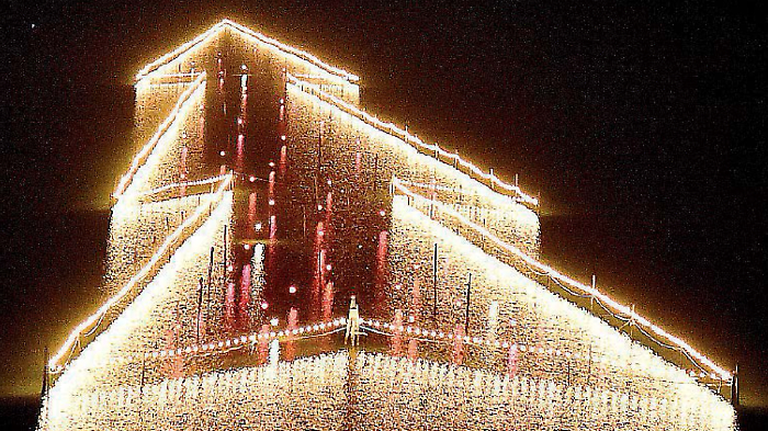 L’albero sull’acqua