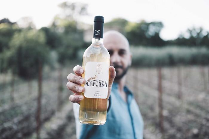 Vino Orba