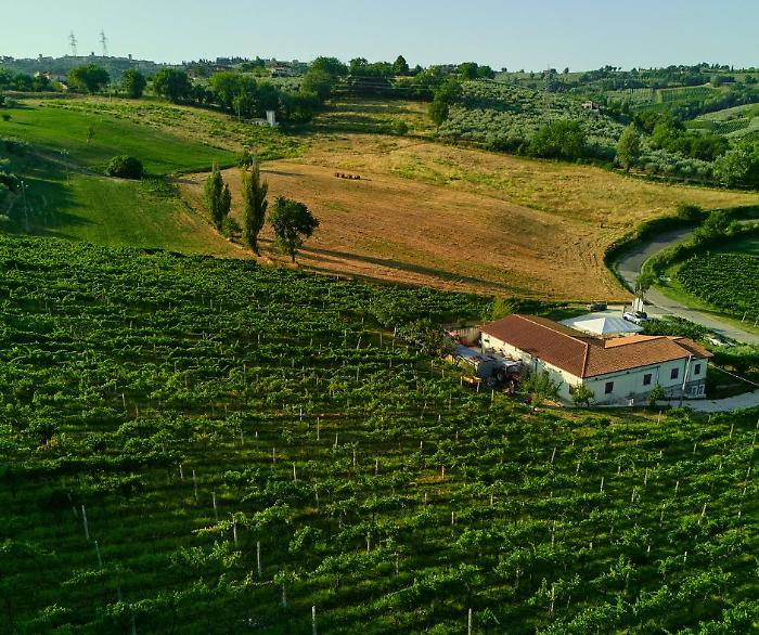 La Veneranda: l'anima di Montefalco tra Sagrantino e tradizione 