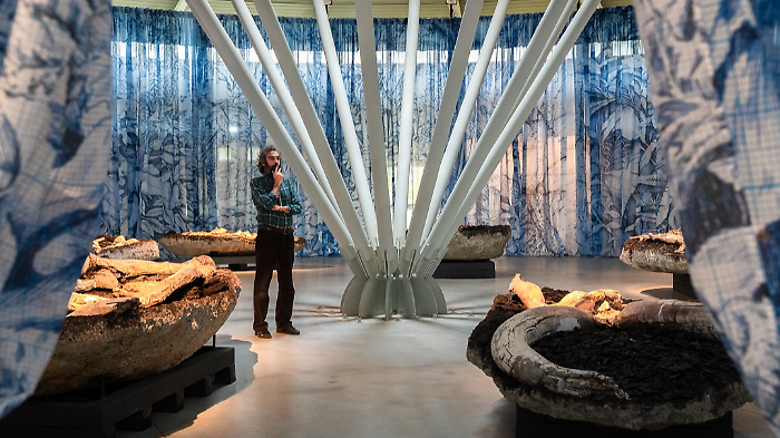 Una Foresta Fossile a Pietrafitta: inaugurata al museo paleontologico l'opera dell&rsquo;artista di fama internazionale Pietro Ruffo 