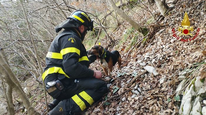 Cane segugio rimane intrappolato su una parete scoscesa del monte Cucco: recuperato dai vigili del fuoco 