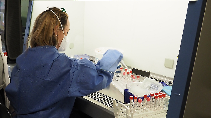 L'influenza stende 10mila umbri: incidenza raddoppiata in due settimane, aumentano i ricoveri