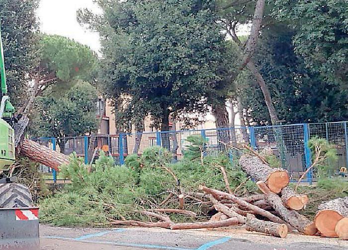 Lugnano in Teverina, scatta un&rsquo;iniziativa in difesa degli alberi da abbattere: chiesta apertura di un dialogo al sindaco