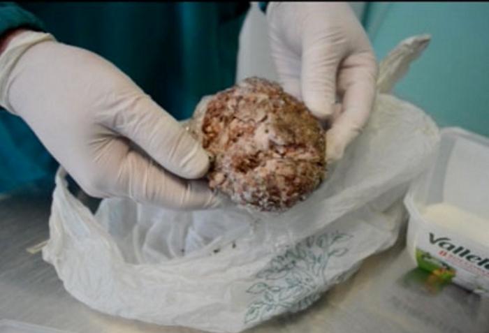 Allarme esche avvelenate a Perugia: il Comune fa scattare subito l'ordinanza