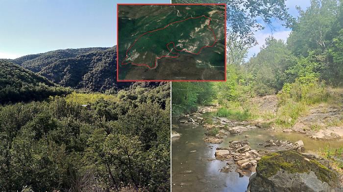 Il bosco delle Sette Valli di Marsciano acquistato per essere lasciato intatto: 90 ettari di verde protetti grazie a oltre 200 donazioni