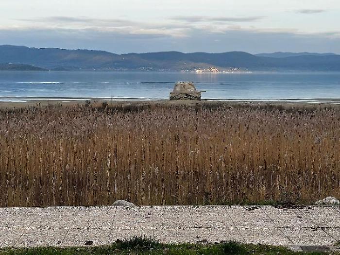 La vegetazione cresce sul lungolago. Mozione di Castiglione Open: "Subito interventi"