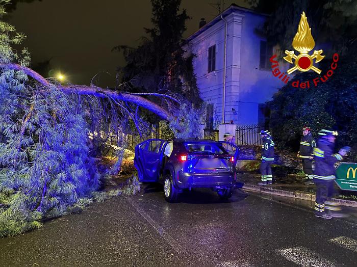 Albero cade lungo la strada mentre passa un'auto: feriti gli occupanti
