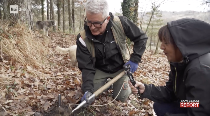 Report e il mondo dei tartufi tra trasparenza e onest&agrave; su aromi e provenienza  
