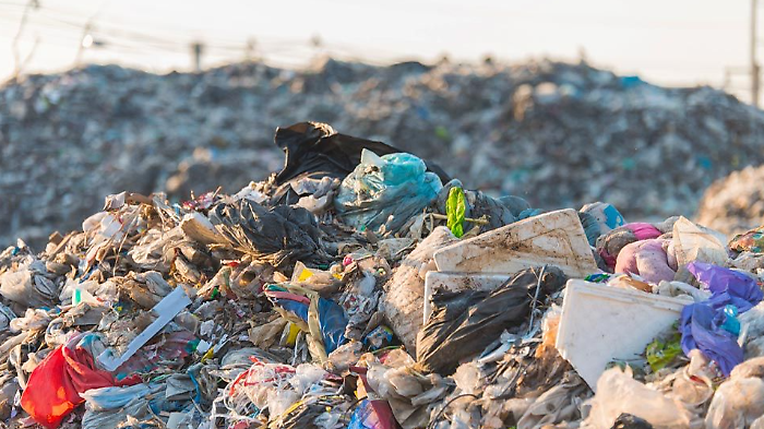 Discarica degli orrori a due passi da Assisi: carcasse di cuccioli tra i rifiuti