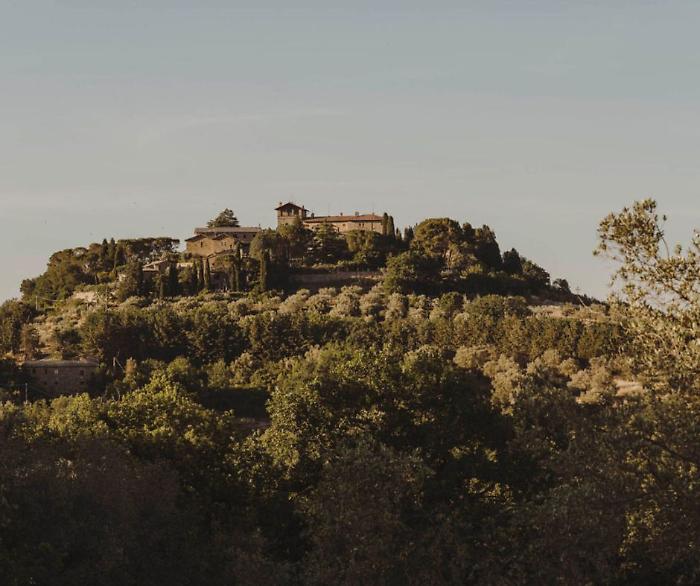 Castello Monte Vibiano, dove la cantina sussurra alla terra