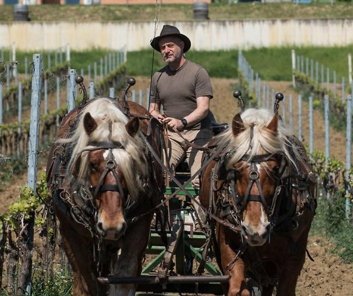 Il viaggio di Plani Arche tra tradizione e avanguardia biologica