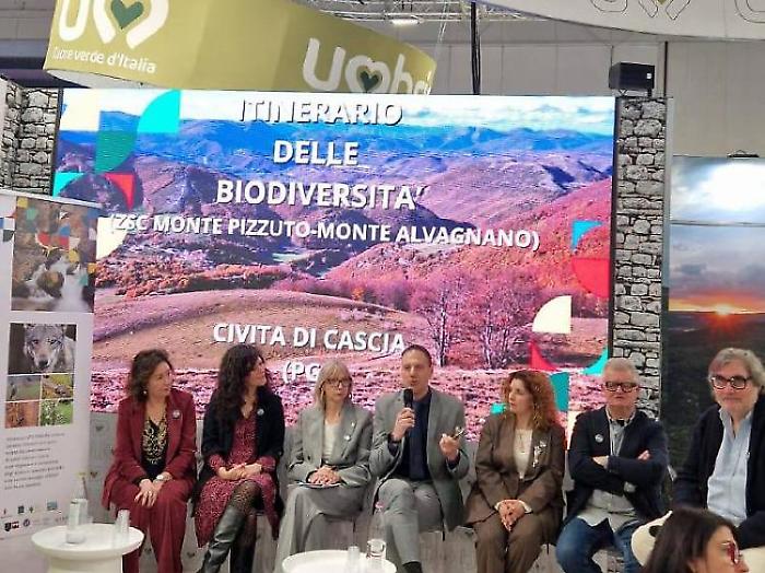 "Per un turismo competitivo serve promozione condivisa". Intervista al sindaco De Carolis