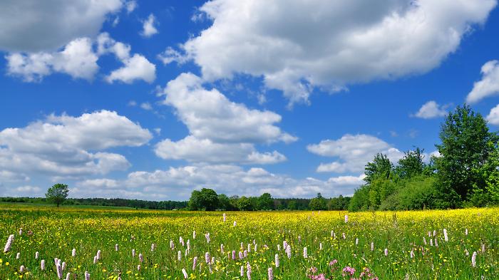 Dalla tempesta Pedro al primo assaggio di primavera: cosa dicono le previsioni del tempo 