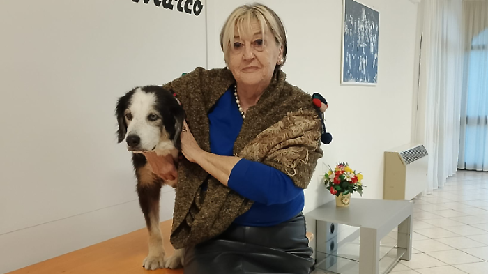 Casa di riposo per cani anziani: la proposta dell'associazione Villa Arzilla bau 