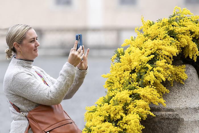 Giornata internazionale della donna, le iniziative nei musei e nei cinema italiani previste per domenica 8 marzo