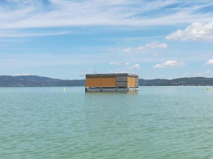 Iniziata la caccia ai chironomidi. Gli esperti: "Situazione anticipata di un mese che conferma i cambiamenti climatici"