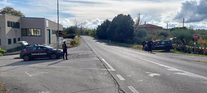 Otricoli, lite in un'abitazione: spuntano 2 piante di marijuana, 13 vasetti con i germogli e un manganello telescopico in metallo