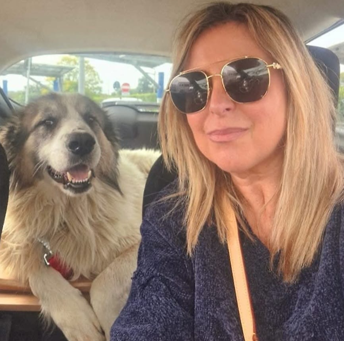 Condomini aperti agli animali: le regole della convivenza