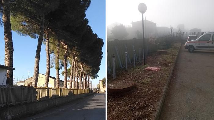 Via della Stazione dopo il taglio dei pini