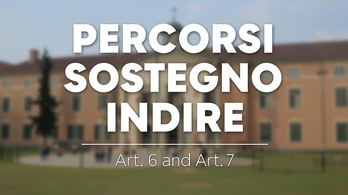 Percorsi Indire - Art. 6 e 7