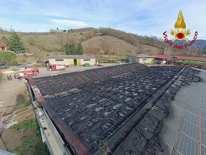 Incendio in una stalla: bruciano tetto e pannelli solari. Morti alcuni bovini