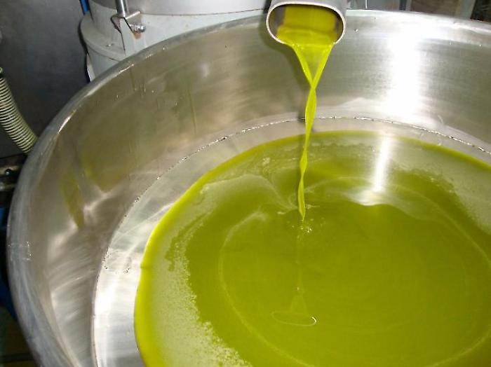 Oro Verde dell'Umbria, le eccellenze dell'olio extravergine premiate alla biblioteca di Monteripido