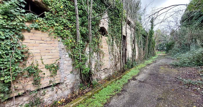 terni intervento ex gruber