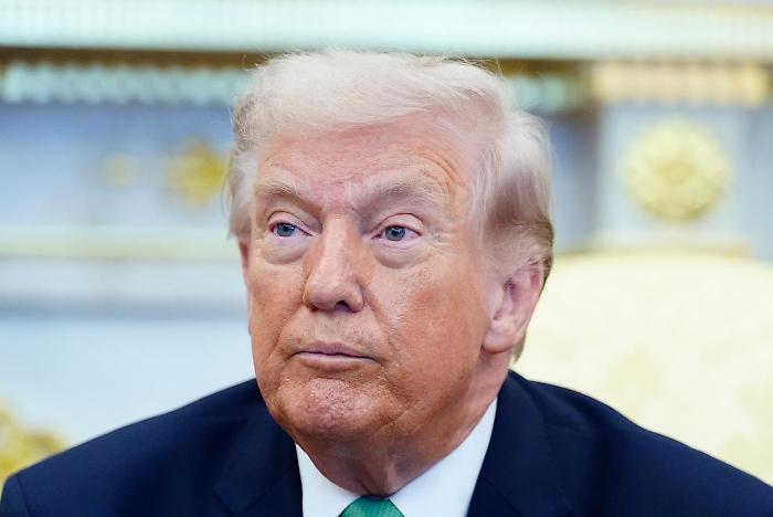 Il momento storico e la politica della tartaruga