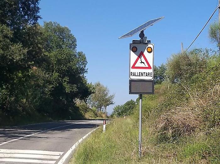 Arriva l'Avc, l'allarme "animali in strada": telecamera a infrarossi e dissuasore acustico