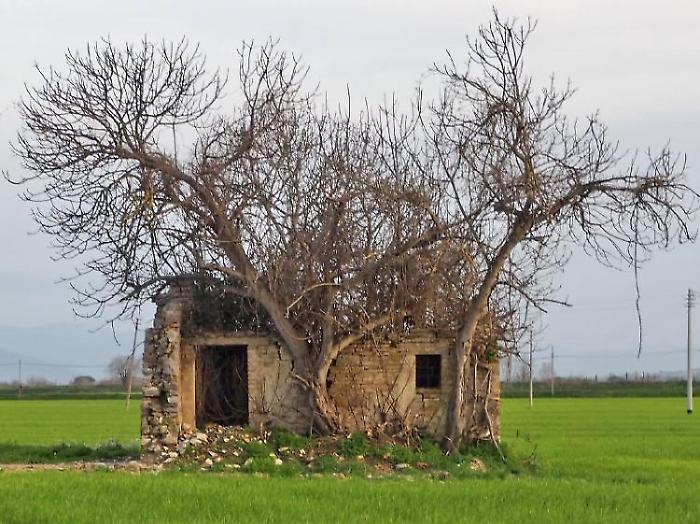 La storia della chiesa di Sant'Eurosia sfuggita alla tragedia: un tesoro dimenticato a Spello