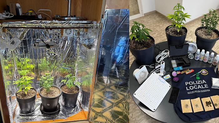 Girava in monopattino con hashish e marijuana: in casa aveva una serra nell'armadio e una pistola scacciacani. Denunciato 22enne