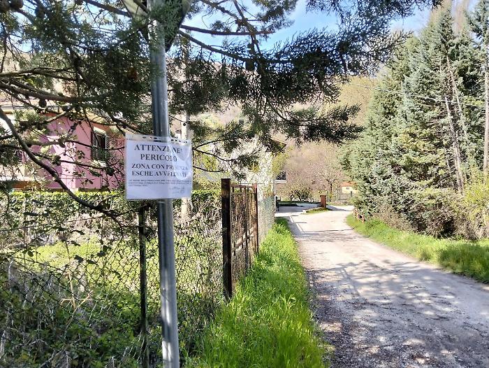 Nocera Umbra, esche avvelenate. Il sindaco Virginio Caparvi: "Pene esemplari per i responsabili"