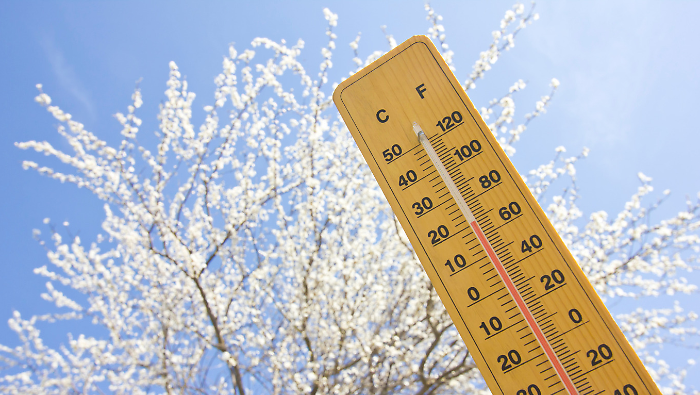 L'inverno continua in Umbria. Ma per Pasqua (e pasquetta) arriva la primavera: le previsioni del tempo 